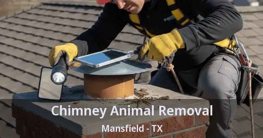Chimney Animal Removal Mansfield - TX