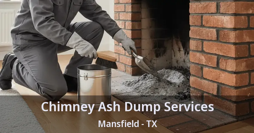 Chimney Ash Dump Services Mansfield - TX