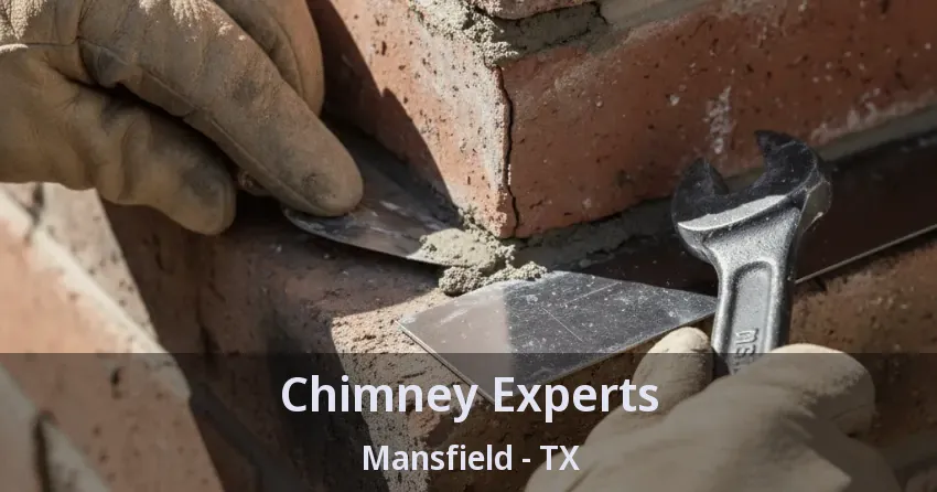 Chimney Experts Mansfield - TX