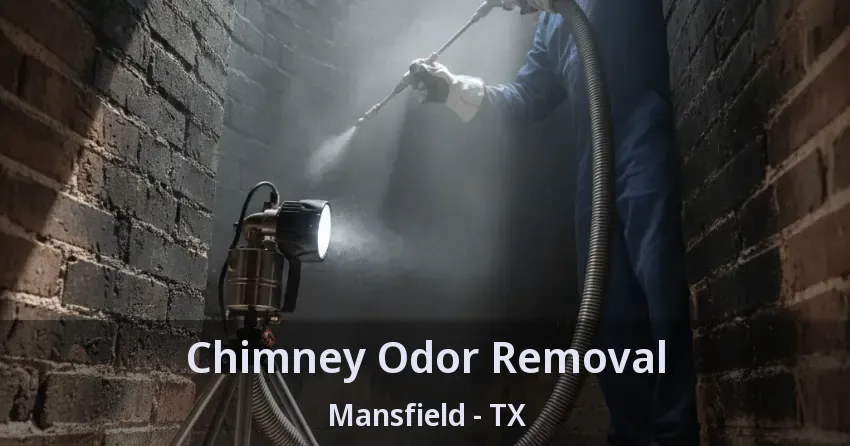 Chimney Odor Removal Mansfield - TX Chimney Odor Removal Mansfield - TX