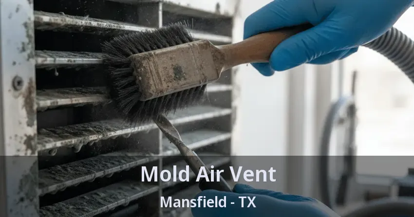 Mold Air Vent Mansfield - TX Mold Air Vent Mansfield - TX
