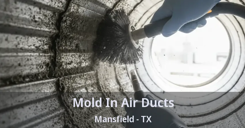 Mold In Air Ducts Mansfield - TX