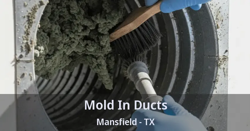 Mold In Ducts Mansfield - TX Mold In Ducts Mansfield - TX