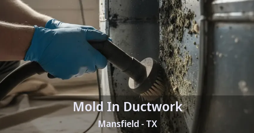 Mold In Ductwork Mansfield - TX