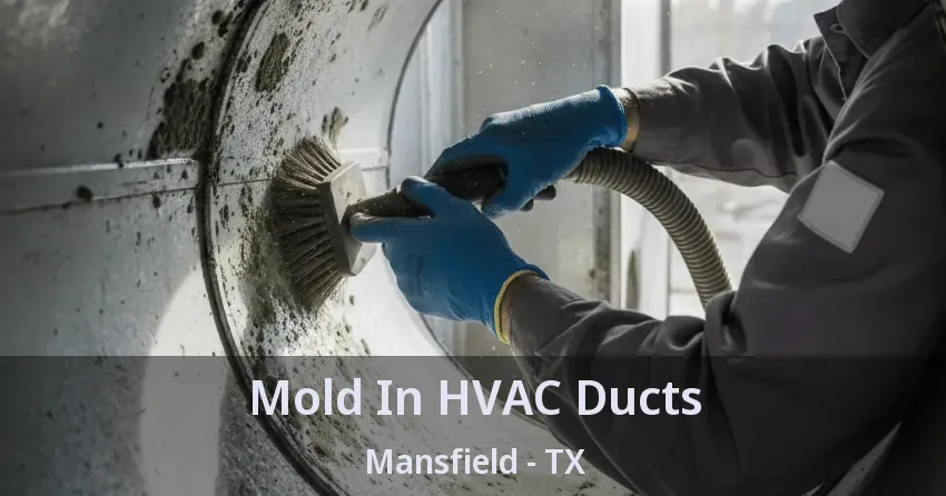 Mold In HVAC Ducts Mansfield - TX
