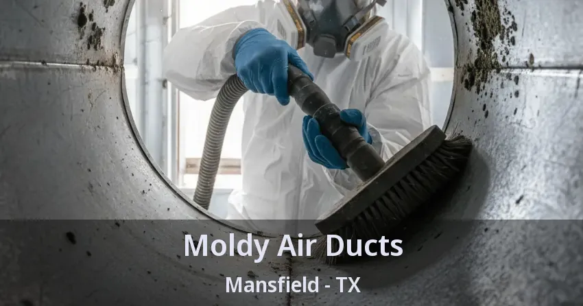 Moldy Air Ducts Mansfield - TX